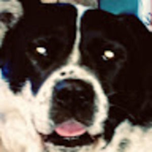 Meet your Posher, Ian